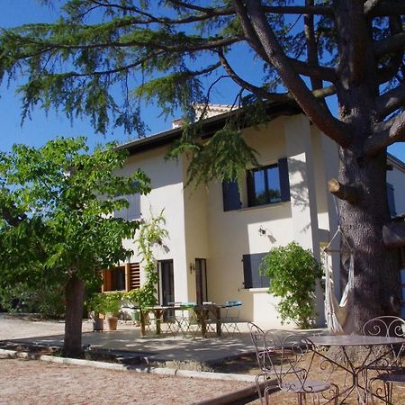 Le Grand Cedre - 2 Chambres D'Hotes - Sud Ardeche Bourg-Saint-Andéol Eksteriør billede