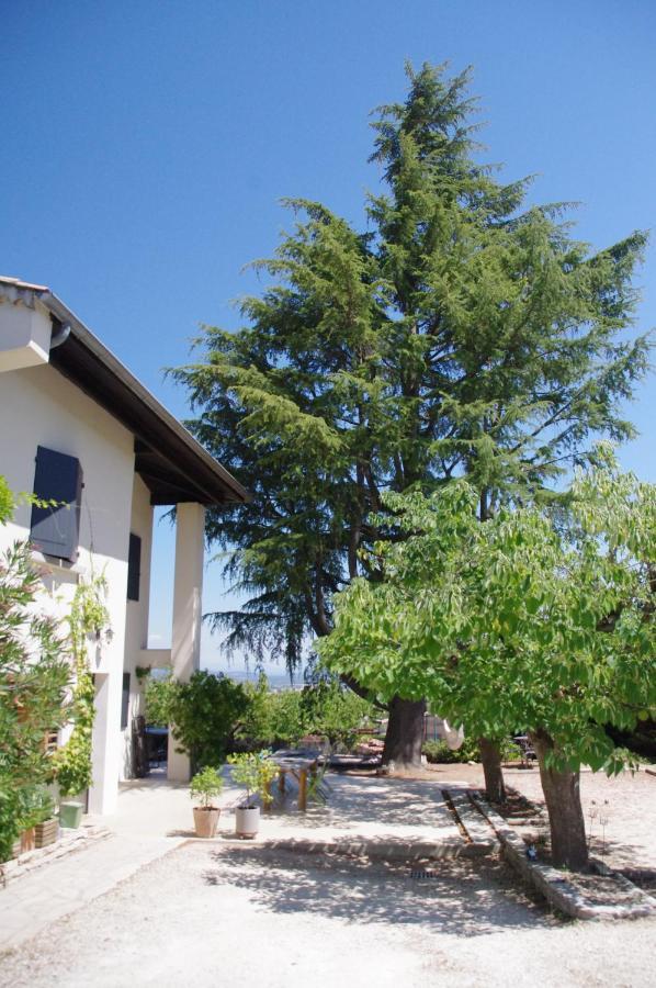Le Grand Cedre - 2 Chambres D'Hotes - Sud Ardeche Bourg-Saint-Andéol Eksteriør billede